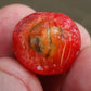 Carrot Jaboticaba Live Plant ( Plinia pseudodichasiantha)
