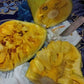 Chempepak Madhu Live Plants