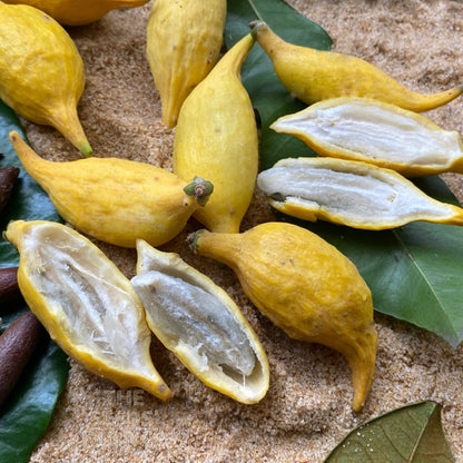 Chrysophyllum flexuosum Fruit Plant: A Rare Tropical Treasure