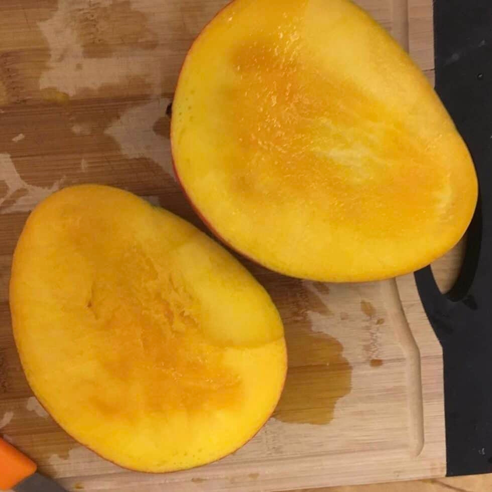 Fruit Cocktail Mango Live Plant (Mangifera indica)