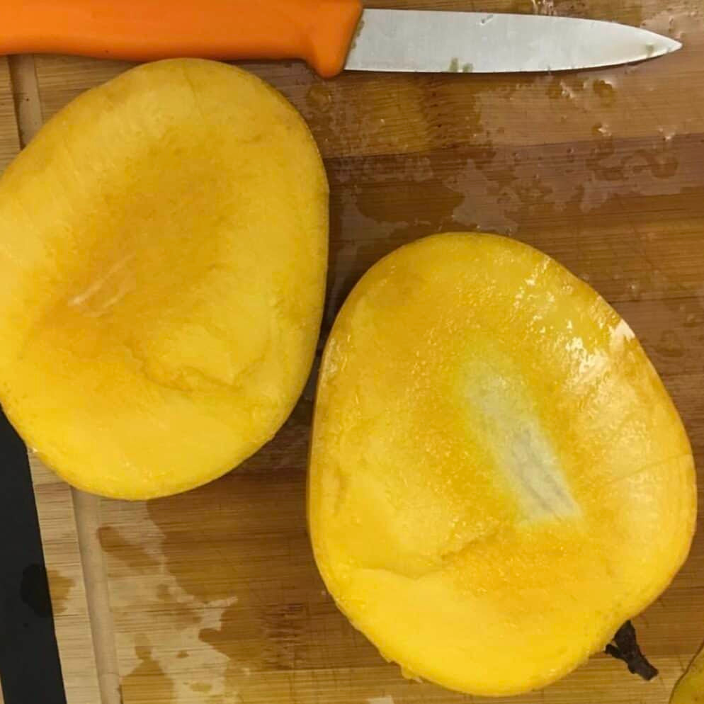 Fruit Cocktail Mango Live Plant (Mangifera indica)