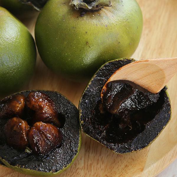 Black Sapote Fruit Plant ( Diospyros  Nigra )