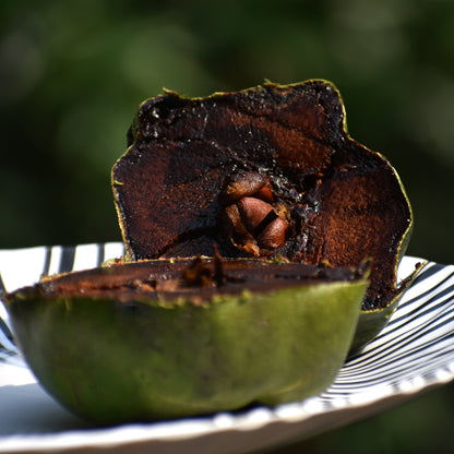 Black Sapote Fruit Plant ( Diospyros  Nigra )