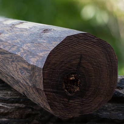 Ebenos Tree Ebony Tree LIve Plant (Diospyros ebenum) – veliyathgardens