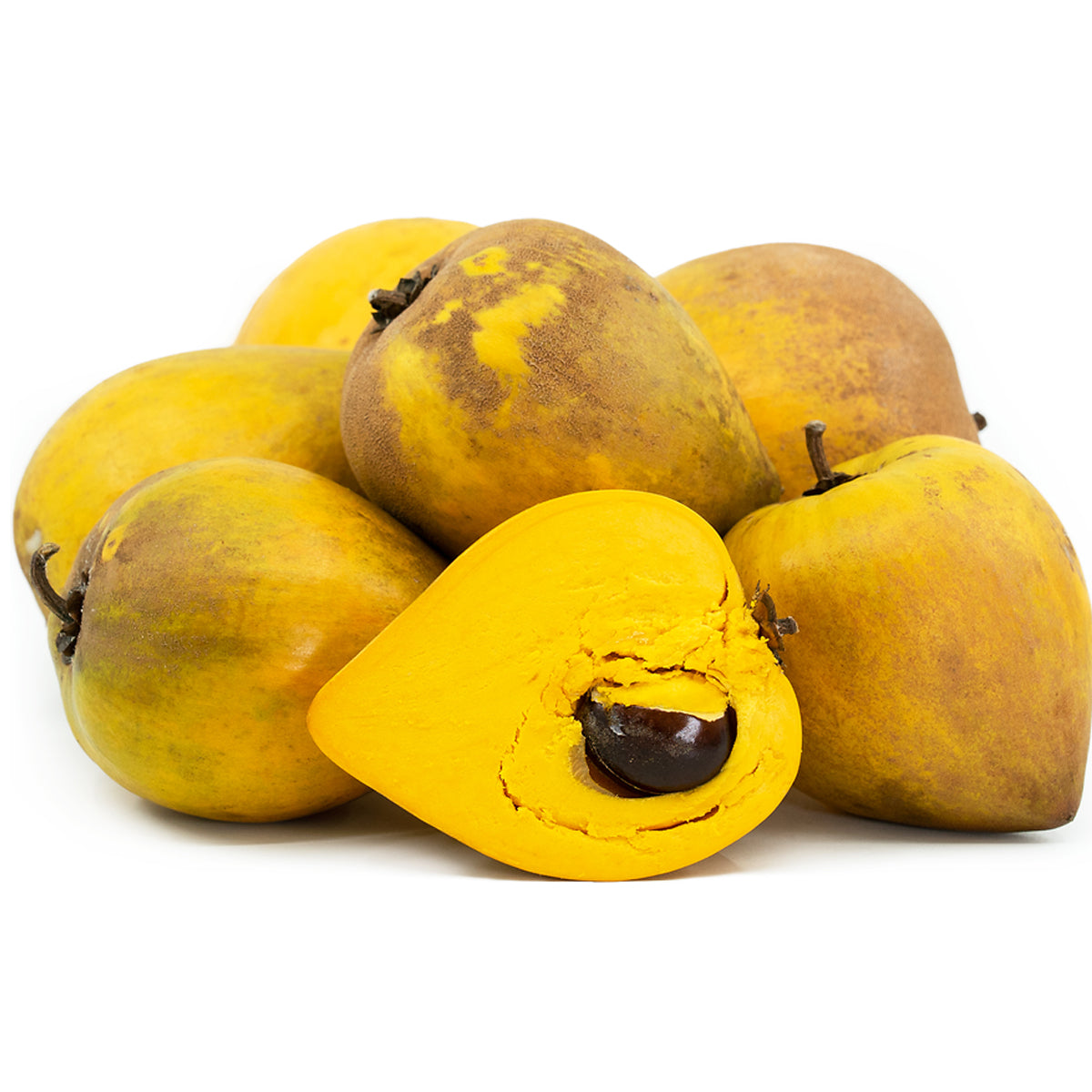 Egg Fruit Plants ( Pouteria Campechiana )