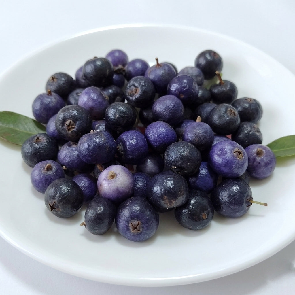 Eugenia belemitana 'Violet Blue' Live Plant