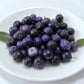 Eugenia belemitana 'Violet Blue' Live Plant