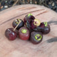 Cereja Roxa Cherry Live Plant (Eugenia sp)