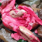 Broad Leaved Garcinia Live Plant (Garcinia latissima)