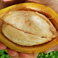 Giant Pungara Fruit Plant (Garcinia macrophylla)