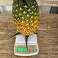 Giant Kew Pineapple (Ananas comosus)