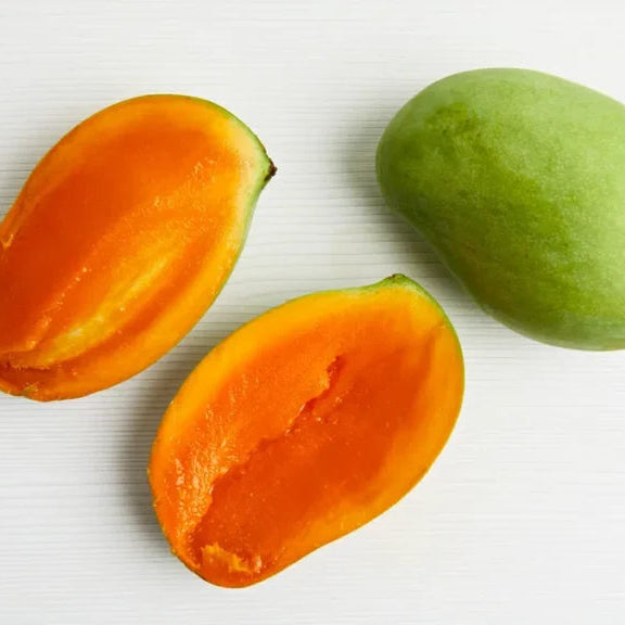 Haitian Francine Mango Live Plant (Mangifera indica)