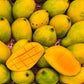 Haitian Francine Mango Live Plant (Mangifera indica)