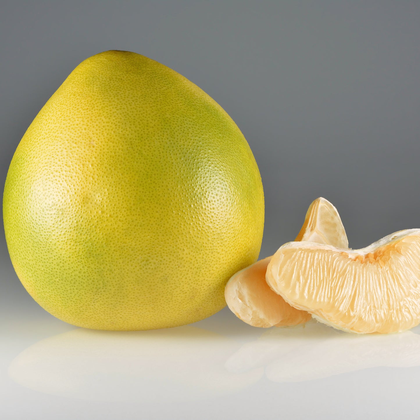 Honey pomelo (Citrus maxima) Live Plant