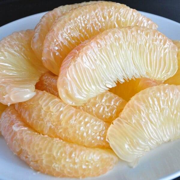 Honey pomelo (Citrus maxima) Live Plant