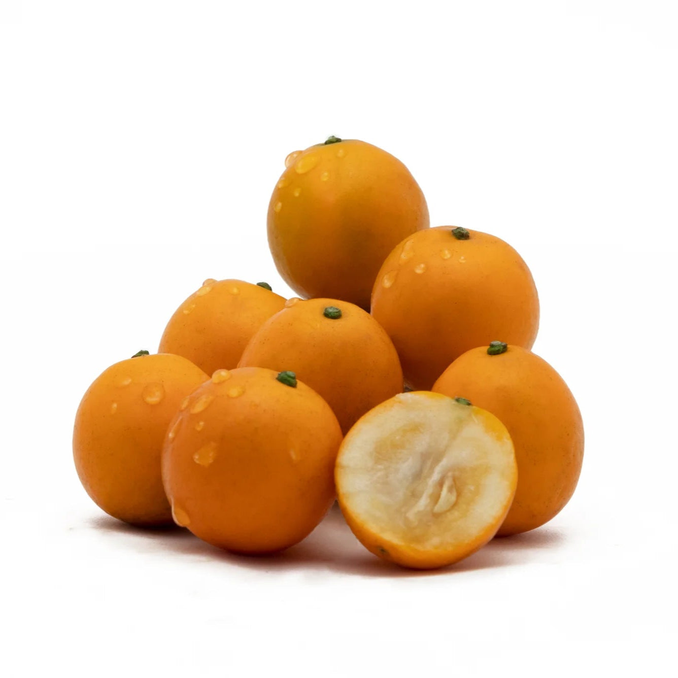 Crispy Honey Kumquat Live Plant (Citrus japonica)