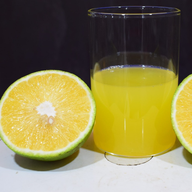 Jaffa Orange Fruit Plant (Citrus sinensis)