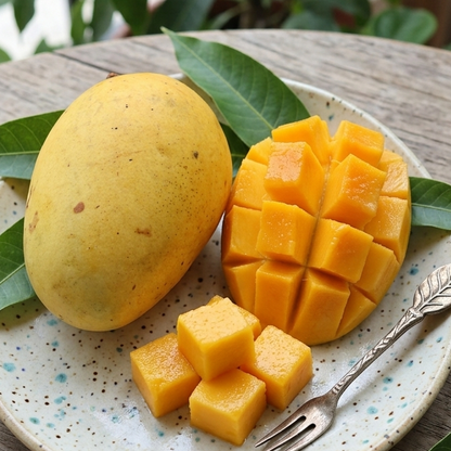 Jardalu Mango Live Plant (Mangifera indica)