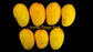 Jardalu Mango Live Plant (Mangifera indica)