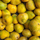 Kari Ishad Mango Live Plant (Mangifera indica)