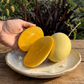 Lemon Zest Mango Live Plant (Mangifera indica 'Lemon Zest')
