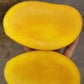 Mallika Mango Live Plant