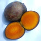 Kasturi Mango Live Plant (Mangifera casturi)