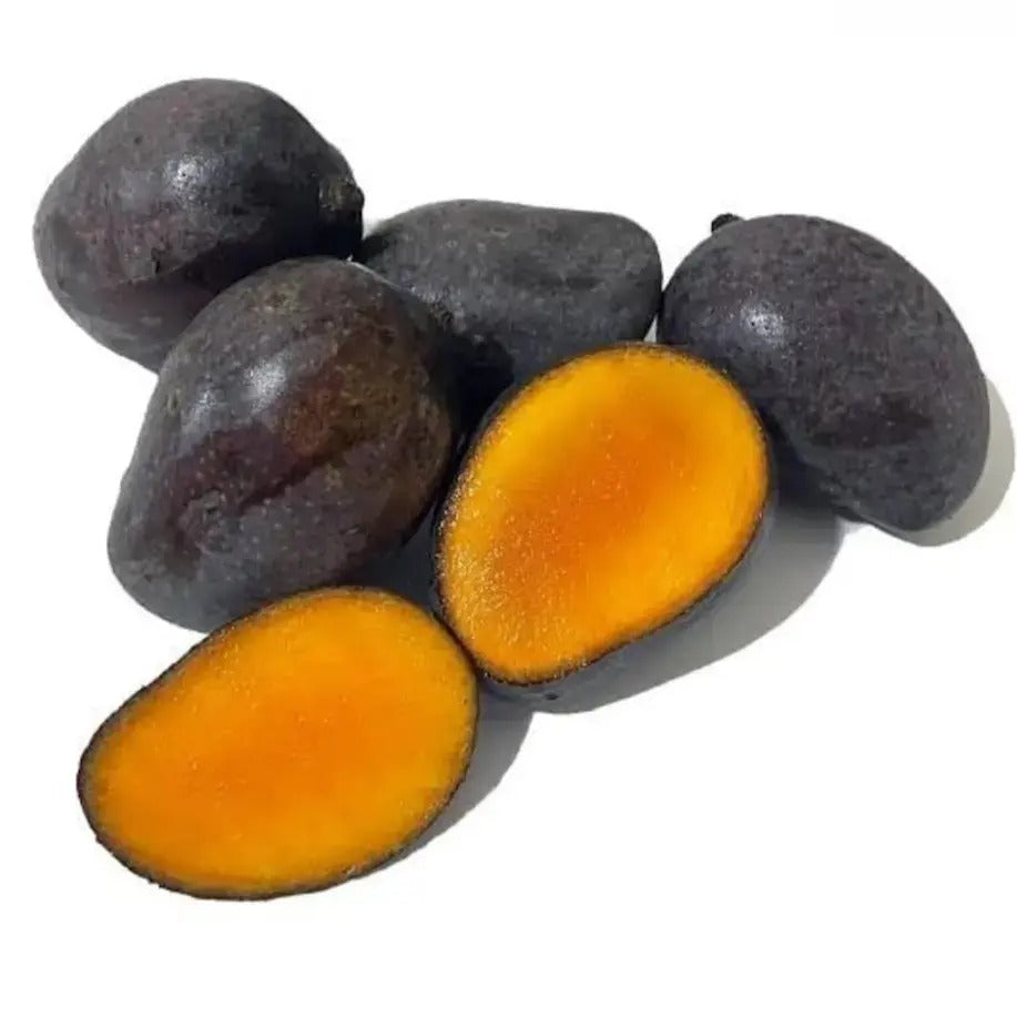 Kasturi Mango Live Plant (Mangifera casturi)