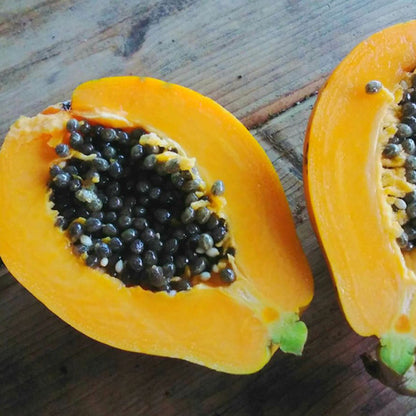 Mango Papaya Live Plant (Carica papaya)
