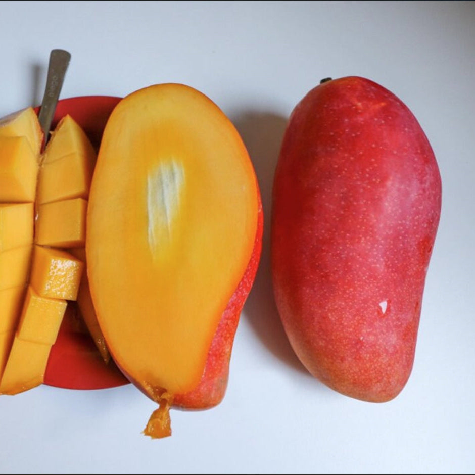 Kaohsiung 4 Mango Live Plant (Mangifera indica)