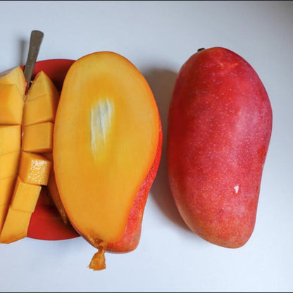 Kaohsiung 4 Mango Live Plant (Mangifera indica)
