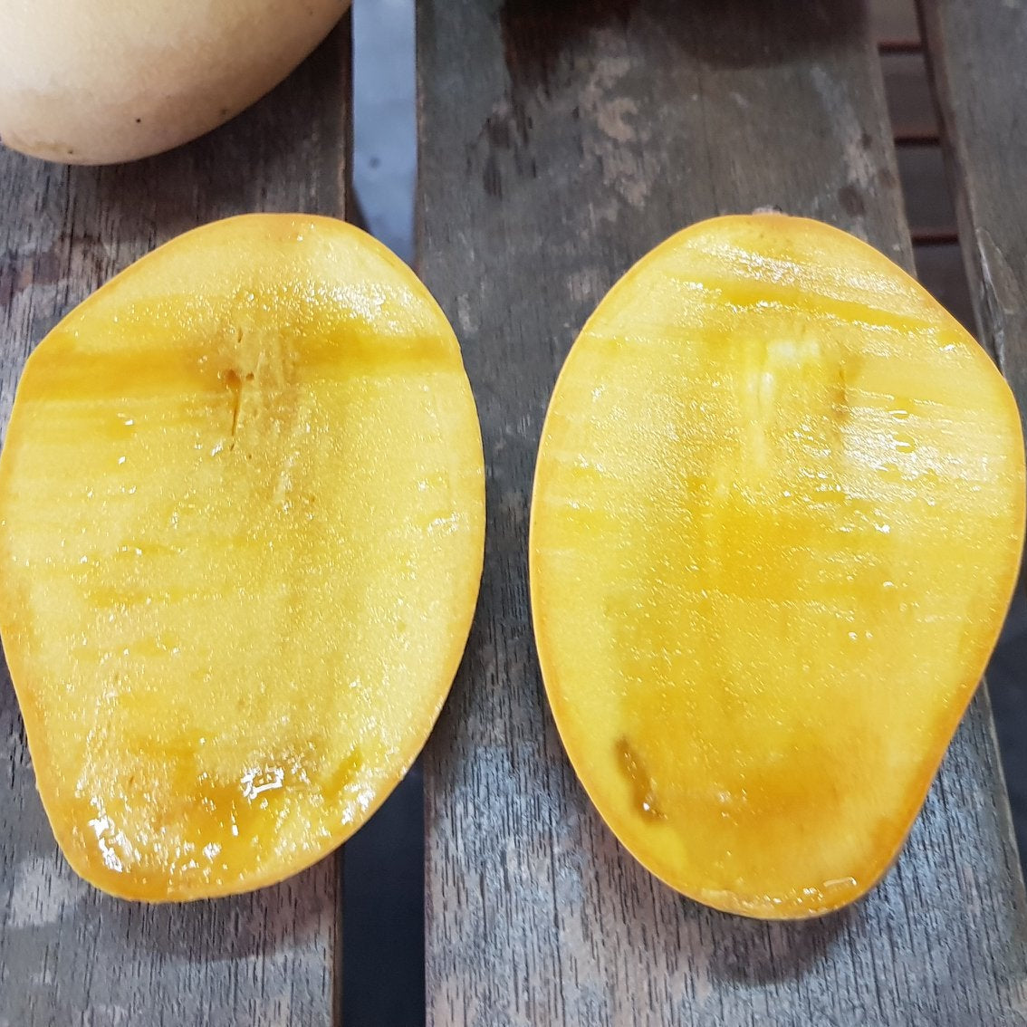 Nam Tan Tao Mango Live Plant (Mangifera indica)