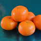 Orri Mandarin Live Plant (Citrus reticulata)