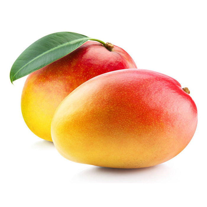 Pusa Suriya Mango Fruit Plant (Mangifera Indica)