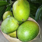 Panduri Mango (Panduvari Mamidi mango) Live Plant