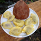 Pangium Fruit Live Plant (Pangium edule)