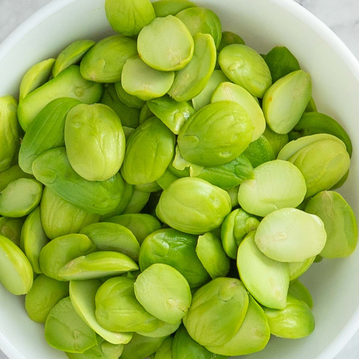 Petai Bean Live Plant (Parkia speciosa)