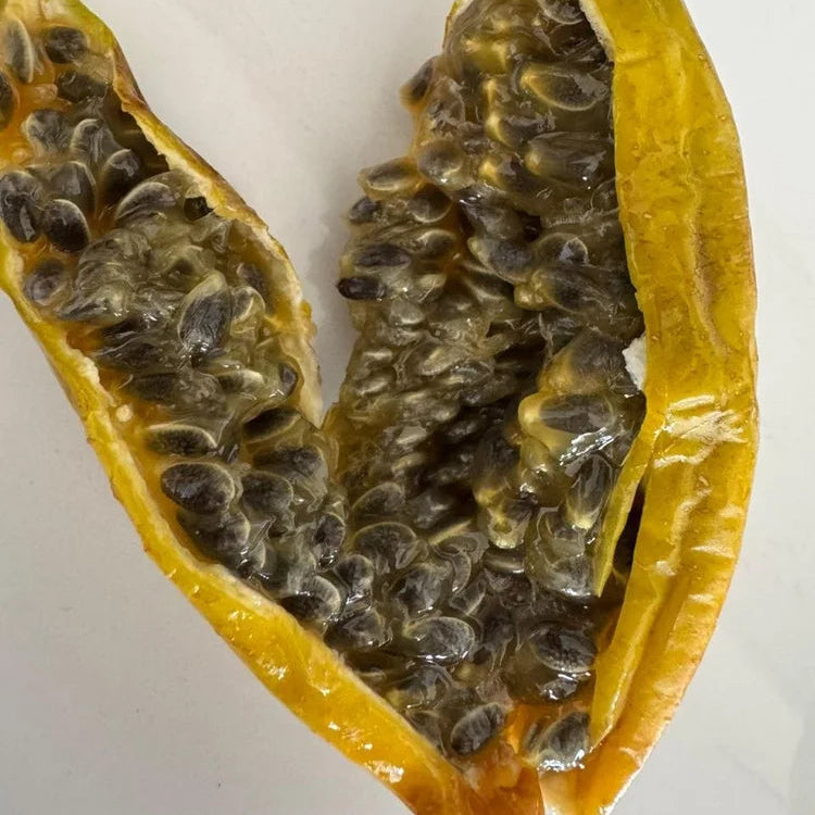 Red Banana Passionfruit Live Plant (Passiflora antioquensis)