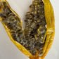 Red Banana Passionfruit Live Plant (Passiflora antioquensis)