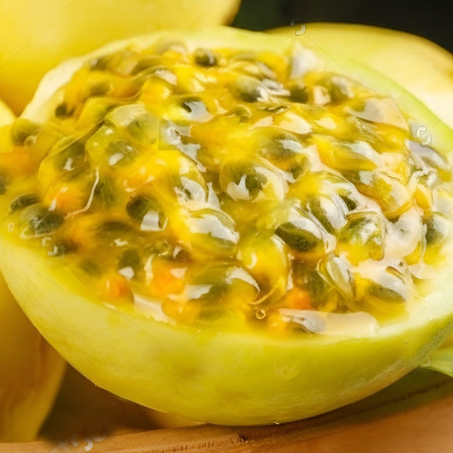 Hynn Golden Passion Fruit (Passiflora edulis)