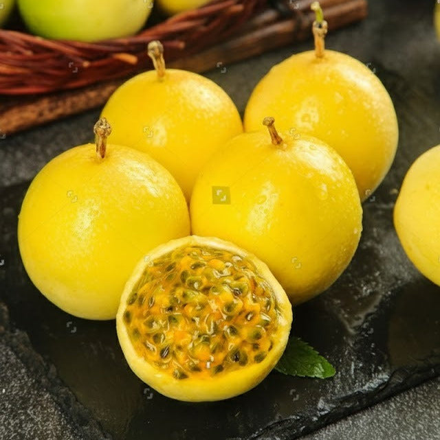 Hynn Golden Passion Fruit (Passiflora edulis)