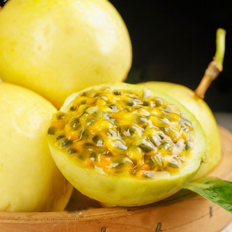 Hynn Golden Passion Fruit (Passiflora edulis)