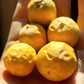 Elegans Passion Fruit Live Plant (Passiflora elegans)