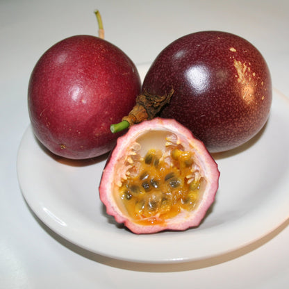 Passion Fruit Japan Red  Live Plant (Passiflora edulis)