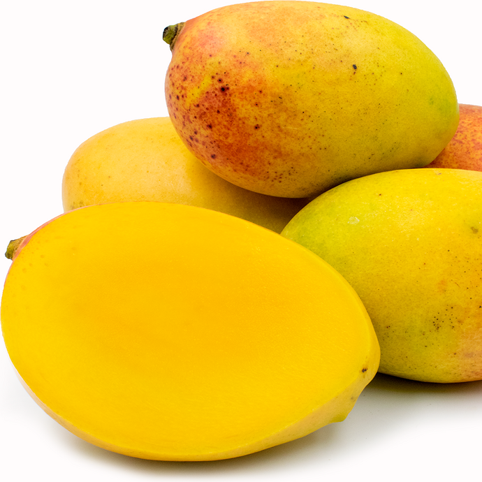 Pickering Mango Live Plant (Mangifera indica)