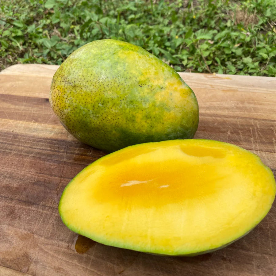 Pineapple Pleasure Mango