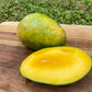 Pineapple Pleasure Mango