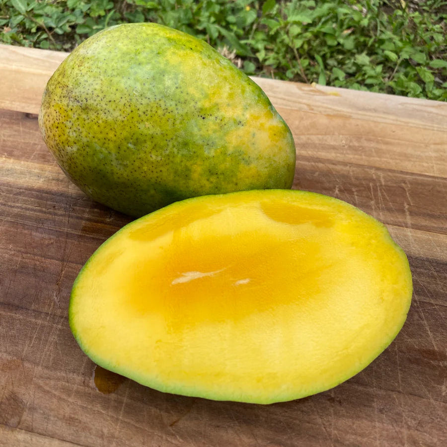 Pineapple Pleasure Mango