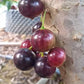 Cabinho Café Ipuiúna Jaboticaba Fruit Plant (Plinia Trunciflora "Cabinho Café Ipuiúna")