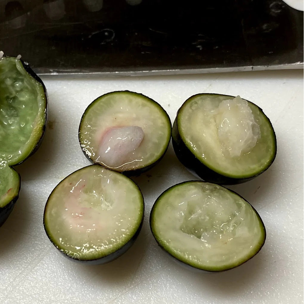 Crowned Jaboticaba Fruit Plant (Plinia Coronata)